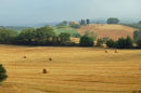 Tuscan landscape in June