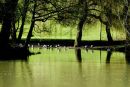 Green reflections on the Thames