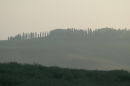 Tuscan dawn 3
