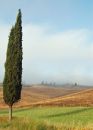 Tuscan morning in June
