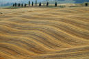 Harvested fields near Pienza