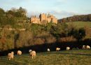 Dunster Castle