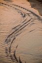 Water runnels on the sand