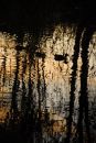 Evening Reflections