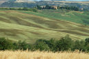 Field textures