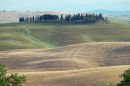 Tuscan field patchworks