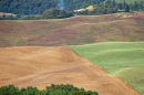 Patchwork fields 3