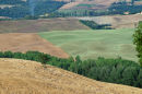 Patchwork fields 3