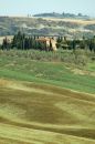 Patchwork fields 4