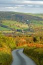 Towards Selworthy