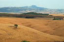 Towards Radicofani