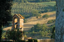 Vineyards from Ripa D'Orcia