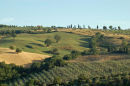 Tuscan hillside in the early morning