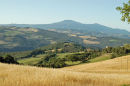 Towards Mte Amiata