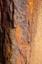 Rust 1