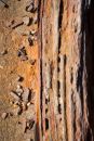 Rust 2