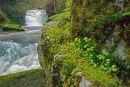 Watersmeet