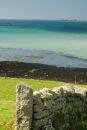 Tresco Colour