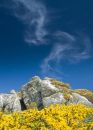 Gorse, granite and cloud