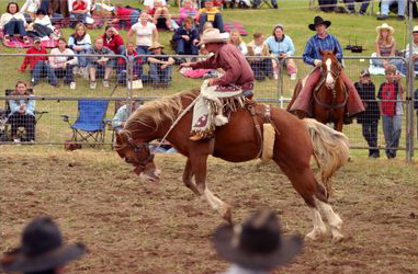 Bucking horse