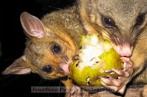 Eating