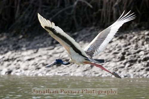In flight