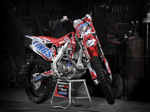 MX Portrait Photography