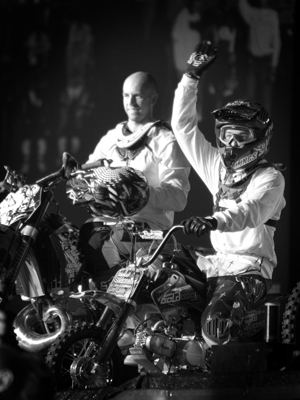 bolddog pic