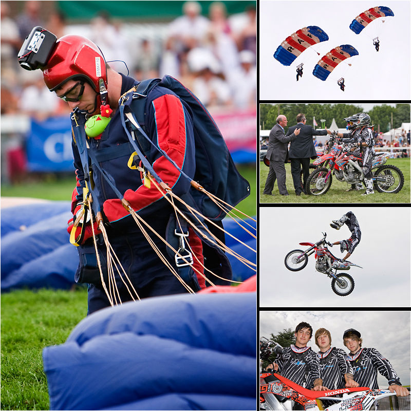 stunt teams