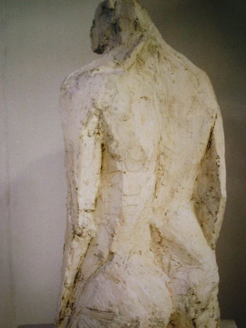 Torso