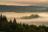 Misty Dawn