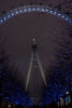 The Eye at Night
