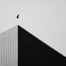 Soaring