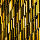 Busy Yellow