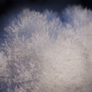 Frost Flower