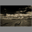 Tilled