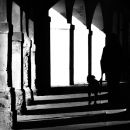Arches