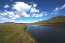 TARN