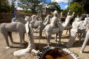 The Camel Yard