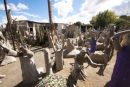 The Camel Yard