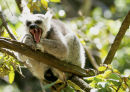 �that�s close enough with your camera� 