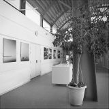 EXHIBITION IN HJALLERUP CULTURAL CENTRE