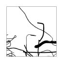 Lines 01