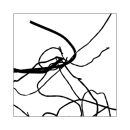 Lines 04
