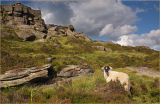 Stanage Edge, Derbyshire