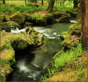 Golitha Falls.
