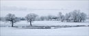 -12C