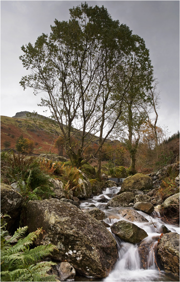 On the Path to Helvellyn