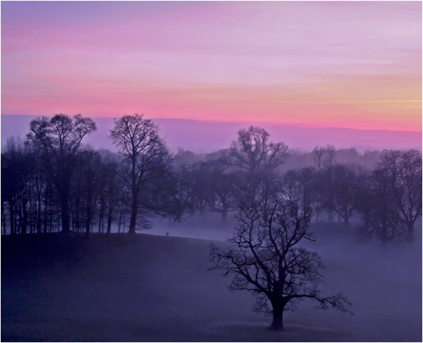 Winter sunset