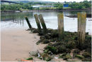 Beside the Erskine Bridge are the remains of the old Erskine Ferry approaches.